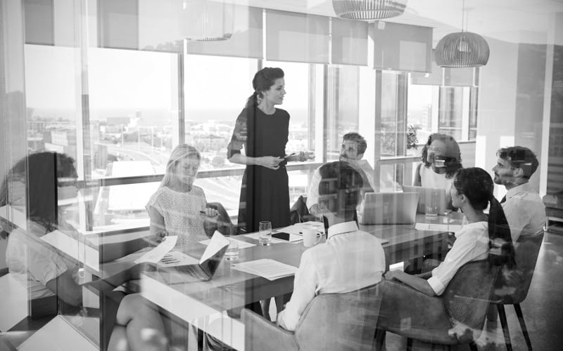 executive coaching-500